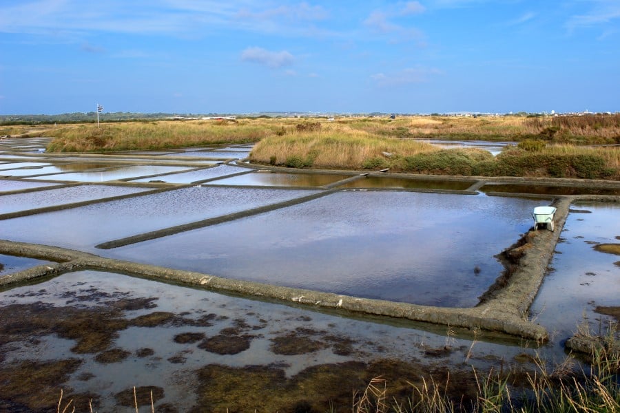 marais parc naturel régional de la Brière